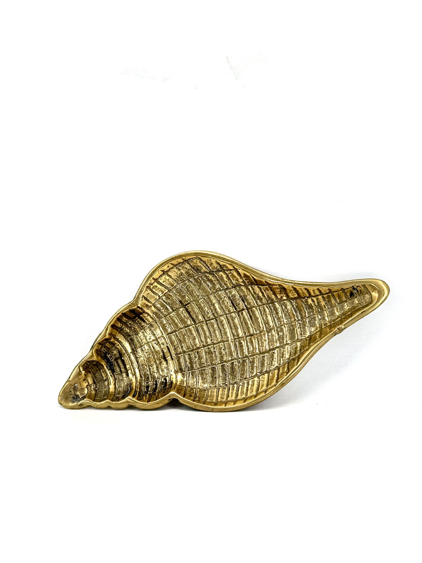 Shell B Brass Tray