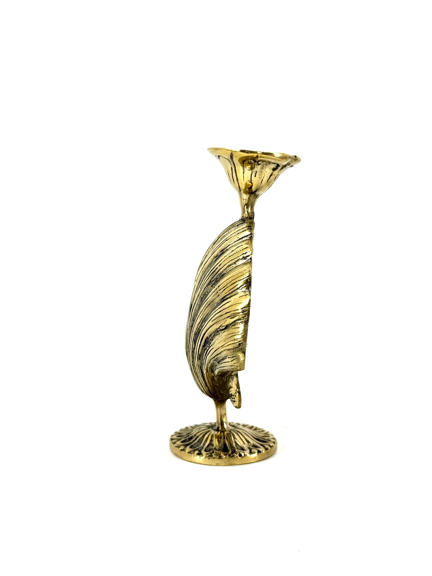 Shell brass candle holder